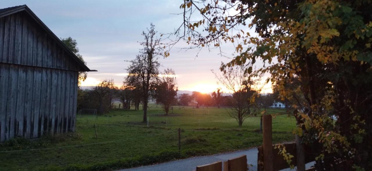 Seenswert - Vegane Pension Und Ferienwohnungen Am Ammersee Pähl Exterior foto